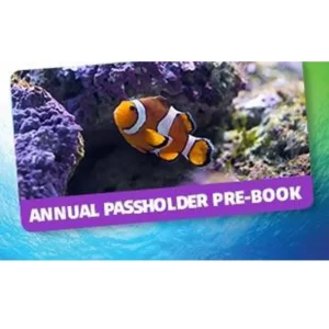 Kelly Tarlton’s Gift Cards