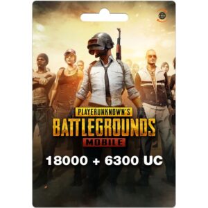 PUBG 24300UC $300 USD (US) Digital Gift Card (Email Delivery)